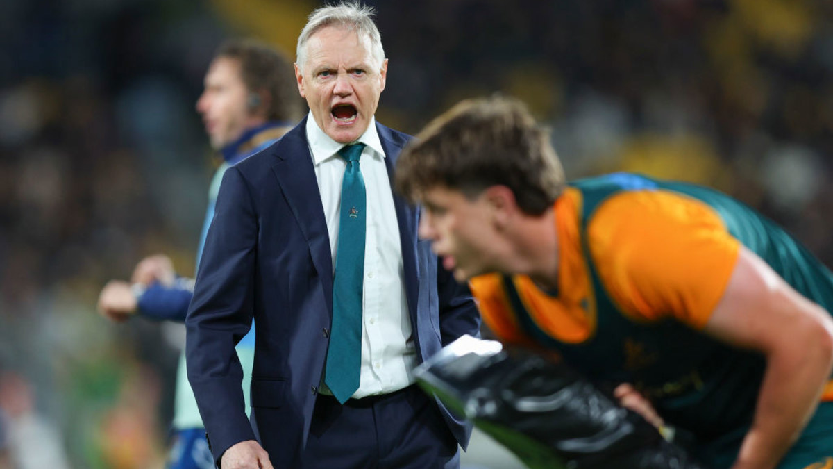 ‘Olha, eu realmente não olho para classificações’: Joe Schmidt pede paciência enquanto as feias verdades dos Wallabies são reveladas