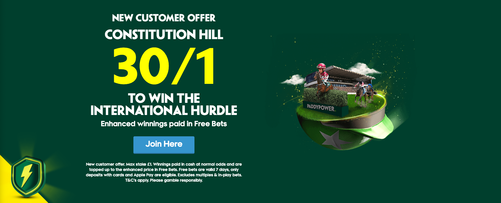 Paddy power Sign-Up offer - Get 30/1 On Constitution Hill To Win The International Hurdle