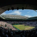 Wimbledon Betting Sites - Best Free Bets For Flavio Cobolli vs Novak Djokovic