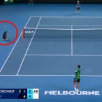 Aberto da Austrália Tênis 2026 | Novak Djokovic quase acerta o garoto da bola, pedido de desculpas, resultado da partida do Botic van de Zandschulp, vídeo, destaques
