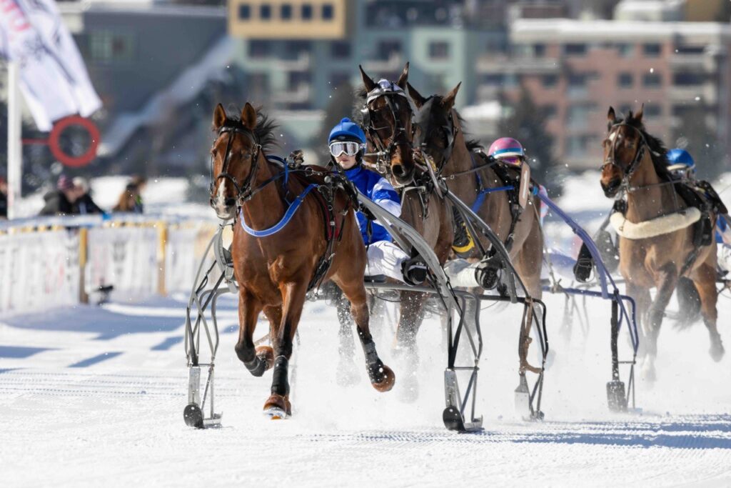 47 Horses At White Turf 2026 estreia neste fim de semana