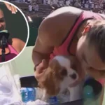 Aryna Sabalenka vence Elena Rybakina; Anel de noivado Georgios Franguli; Jannik Sinner vence Daniil Medvedev