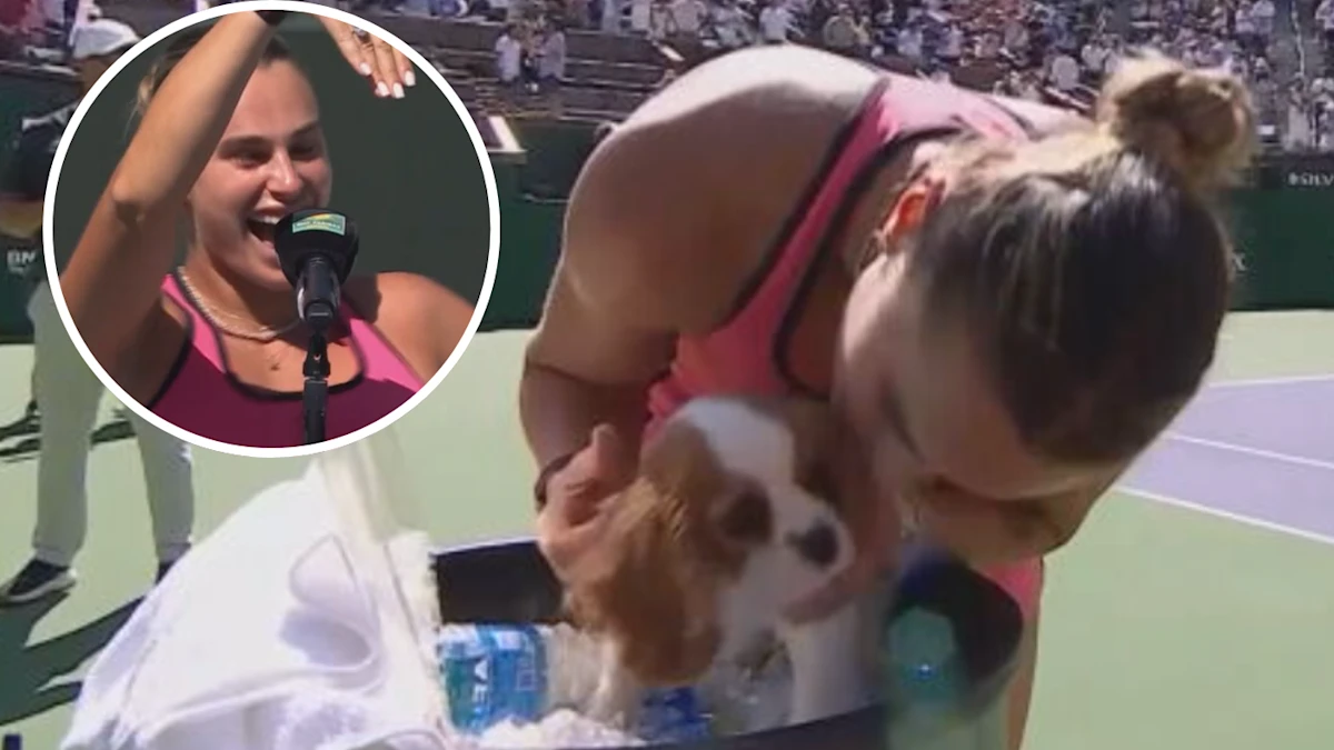 Aryna Sabalenka vence Elena Rybakina; Anel de noivado Georgios Franguli; Jannik Sinner vence Daniil Medvedev