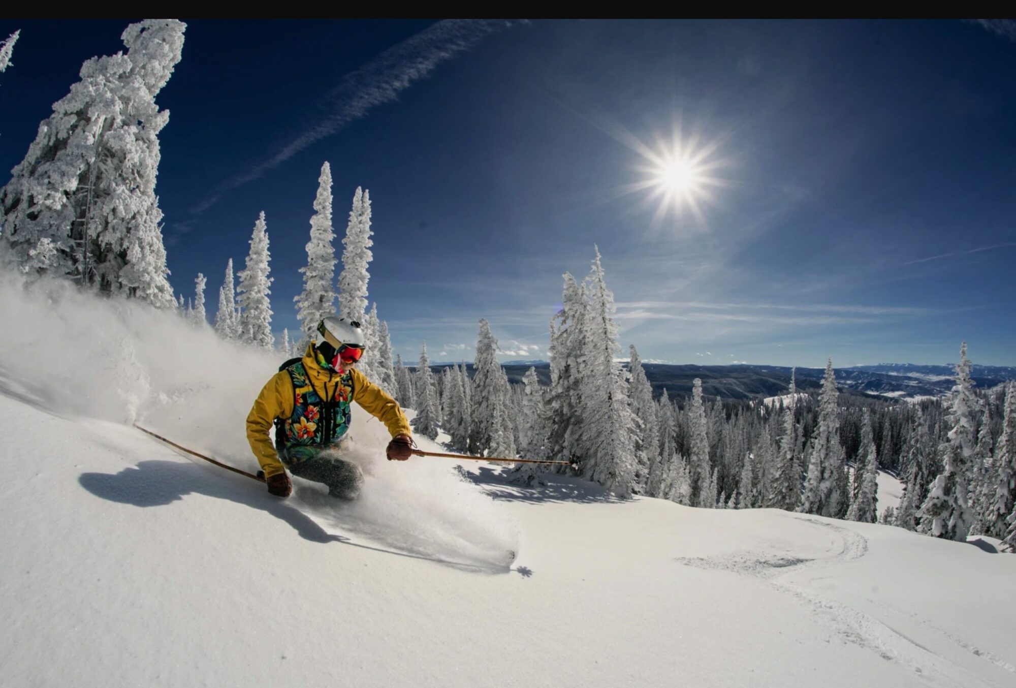 featured_image