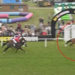 Cronulla-Sutherland Sharks