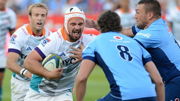 Heinrich Brussow das Chitas.