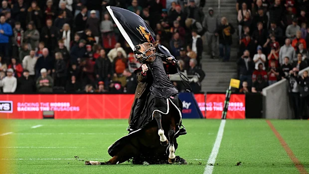 Um cavalo corre para o campo de jogo antes da partida da 15ª rodada do Super Rugby.