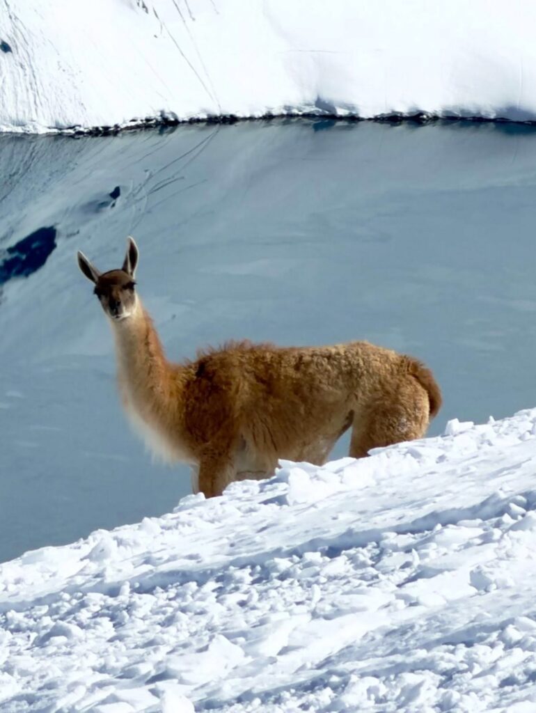 Áreas de esqui nos Andes prolongam as temporadas após enormes nevascas