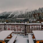 featured_image
