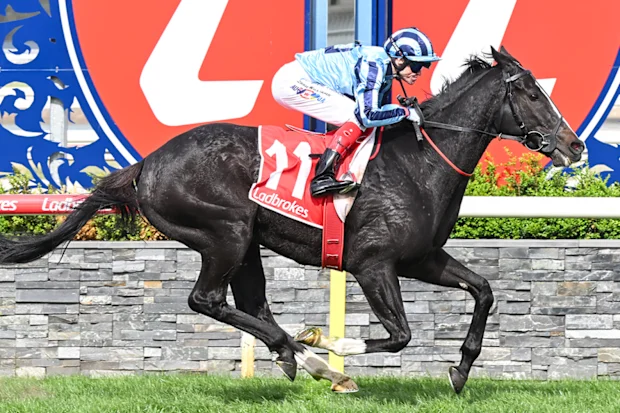 Onesmoothoperator, pilotado por Craig Williams, vence a Copa Geelong de 2024.
